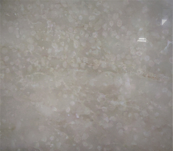 Moon-Cream